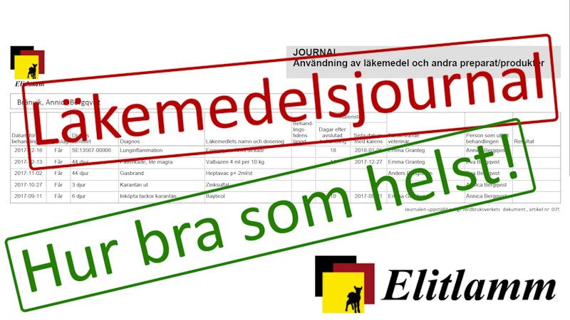 Läkemedelsjournal