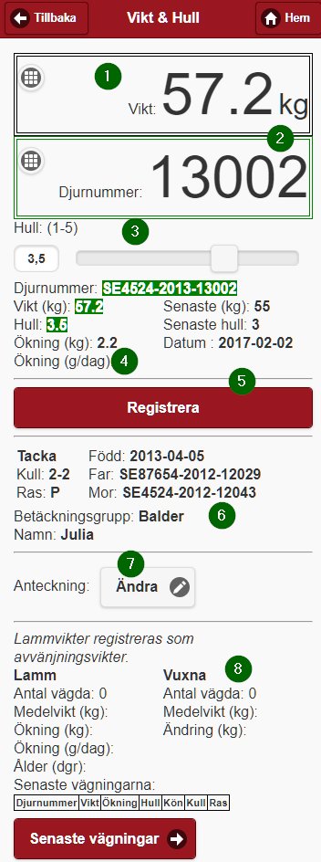 Bild från sidan Vägning i mobilen
