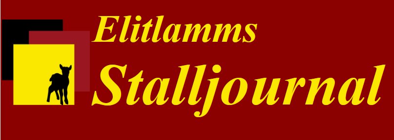 Stalljournal i Elitlamm