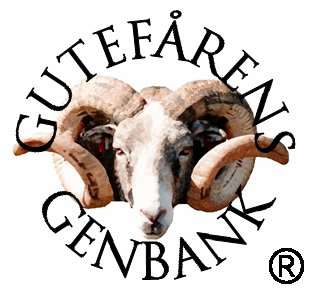 Föreningen Gutefåret
