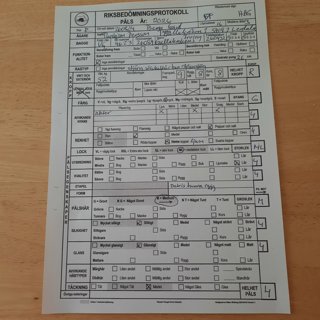Foto av djuret